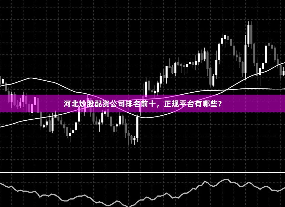 河北炒股配资公司排名前十，正规平台有哪些？